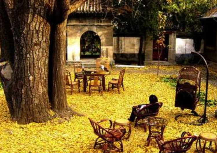 小浅🎤V娱热点