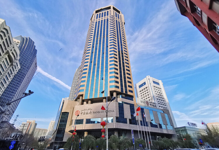 天之娇子•王民裕