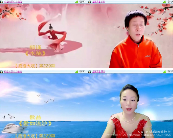 橘猫🎤V娱热点