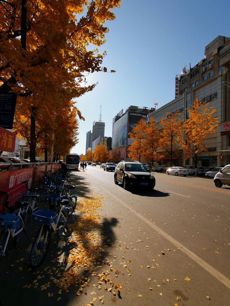 克城【文声汇影】