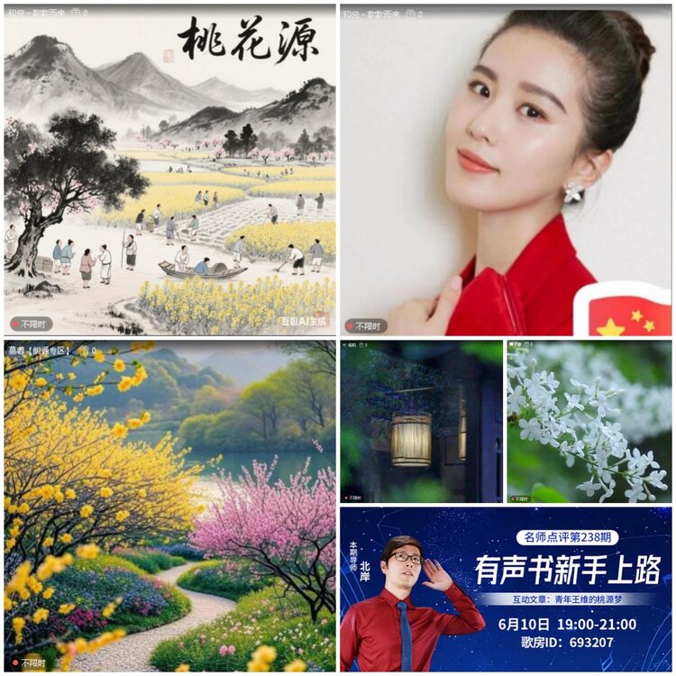 无言🎤V娱热点