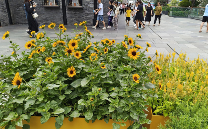 雪儿🎤V娱热点