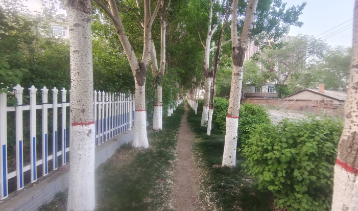 雪儿🎤V娱热点