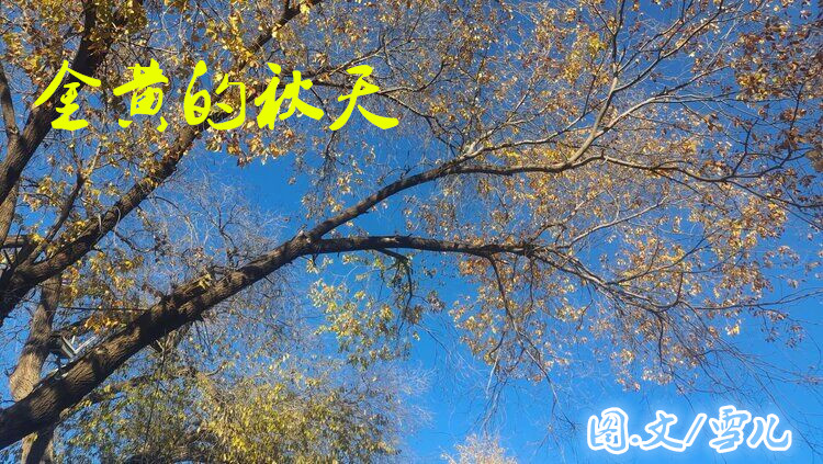 雪儿🎤V娱热点