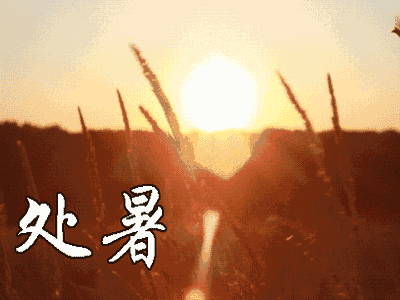 乐享人生