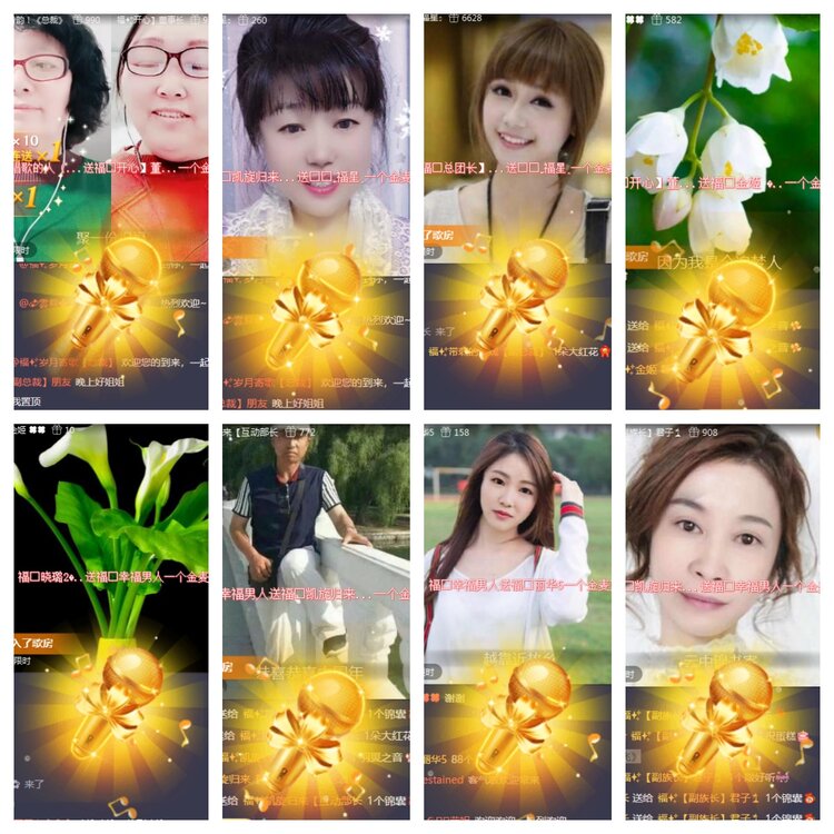 海燕🎤V娱热点