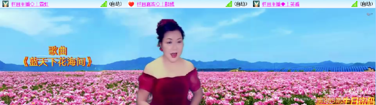 无言🎤V娱热点