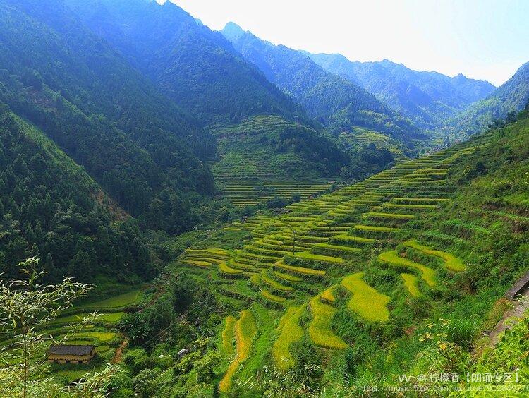 绿色大山图片大全图片