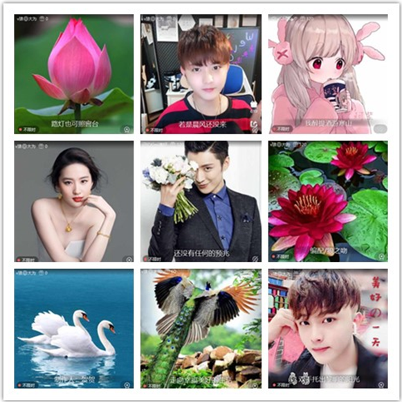 墨馨儿🎤V娱热点