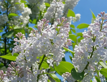 曾经🎤V娱热点