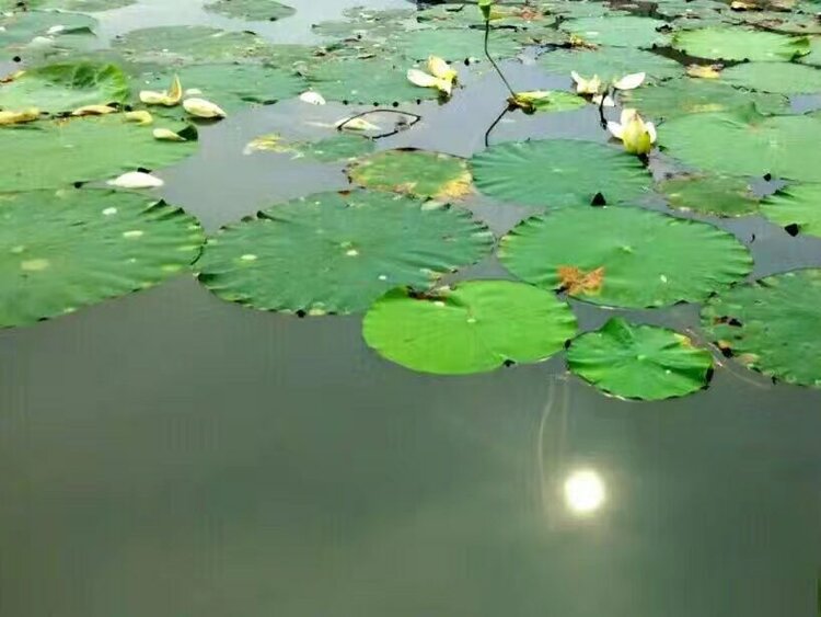 曾经🎤V娱热点