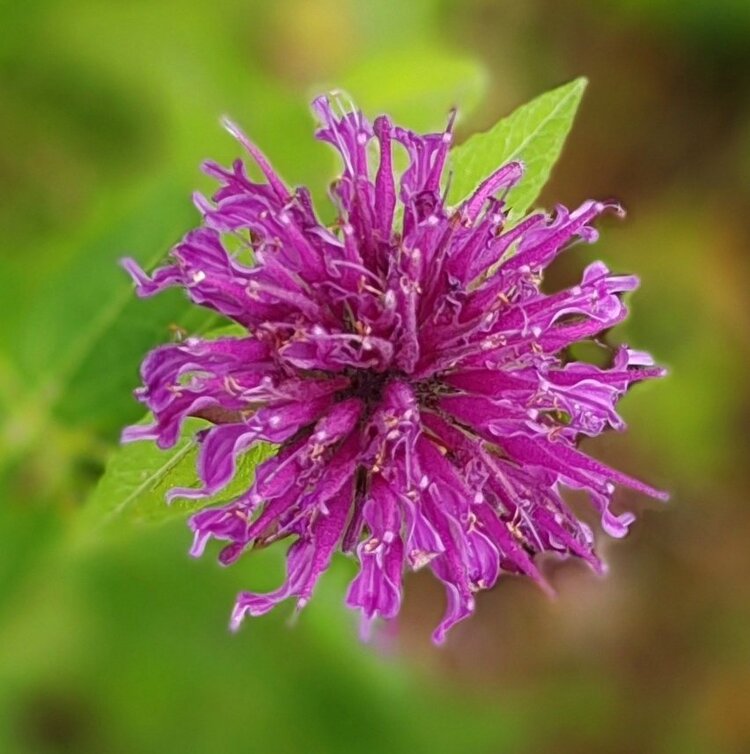 ζ᭄🦋涵钰এ⁵²⁰᭄