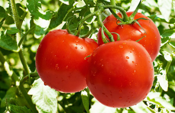 小浅🎤V娱热点