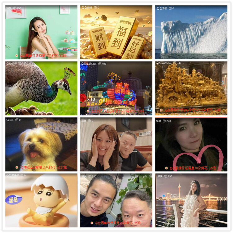 沛滢🎤V娱热点