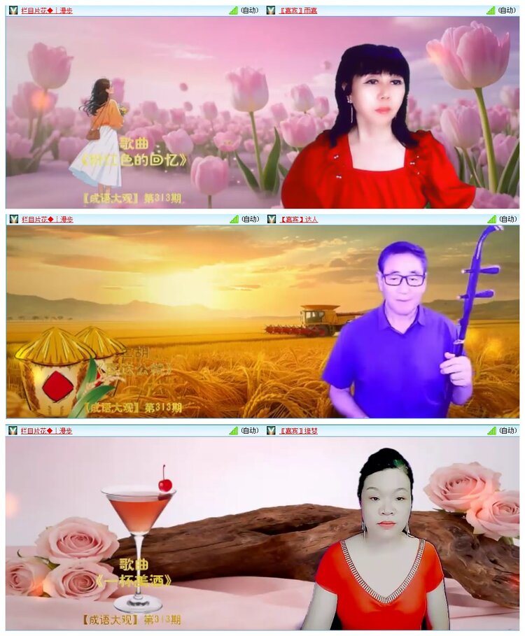 凡人🎤V娱热点