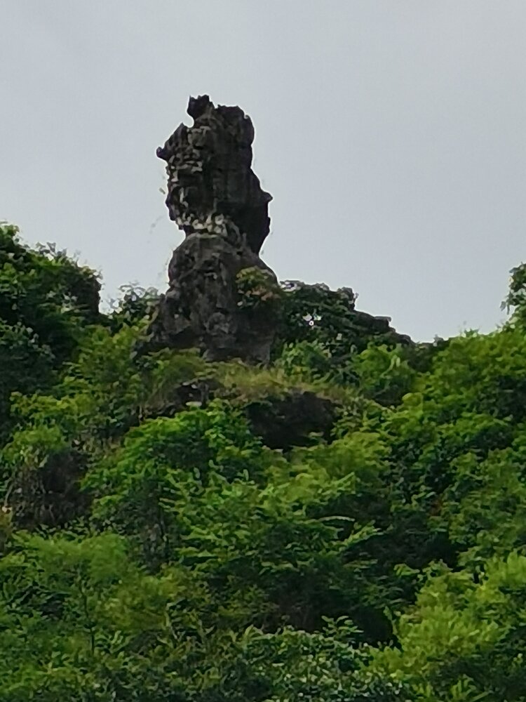 hyz
