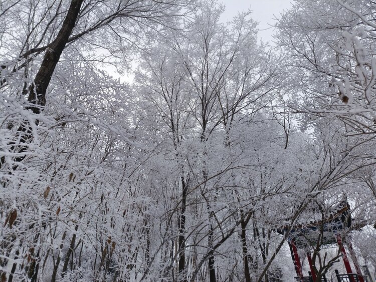 雪儿🎤V娱热点