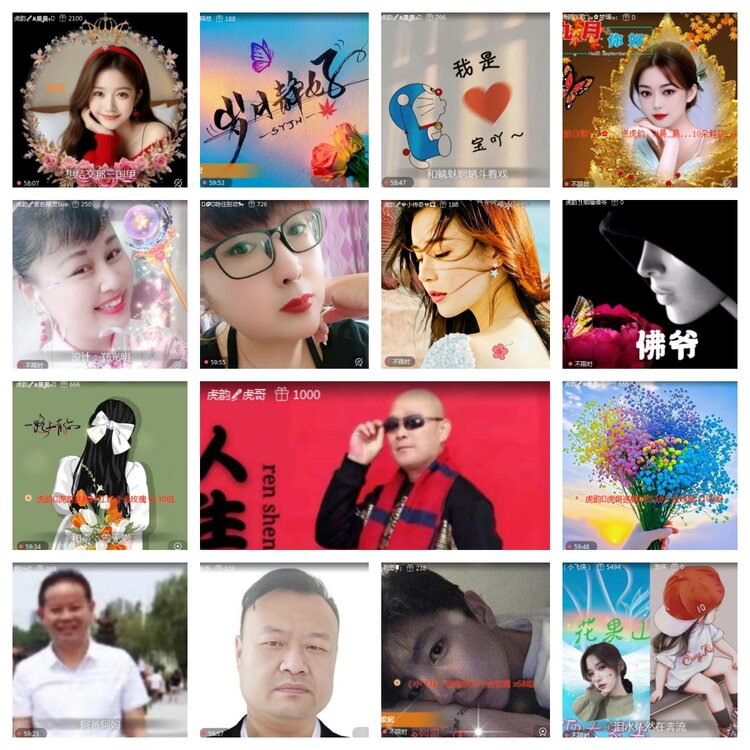 海燕🎤V娱热点