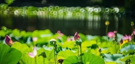 曾经🎤V娱热点