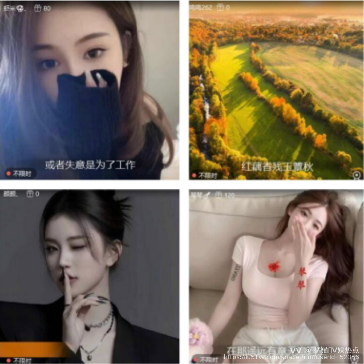 橘猫🎤V娱热点