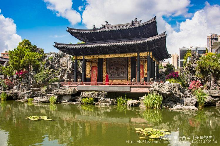 东张西望【美摄视界】