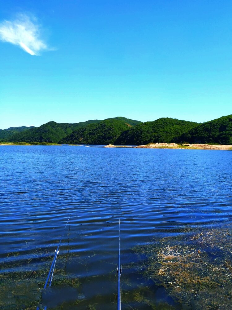 首发我的诗意时光31新夏吟诗