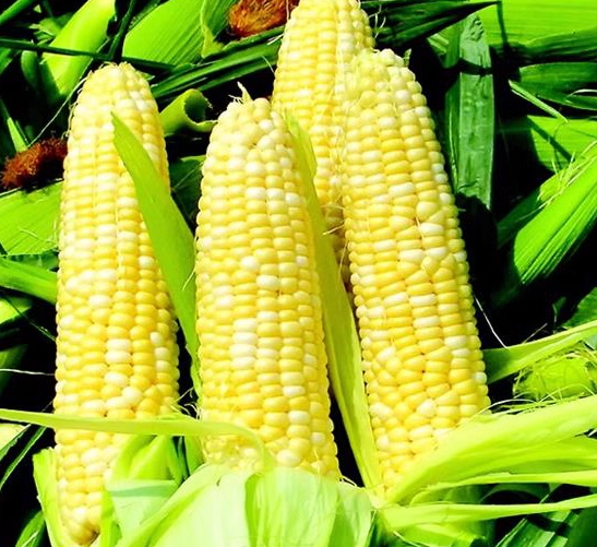 小浅🎤V娱热点