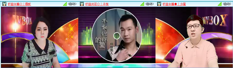 无言🎤V娱热点