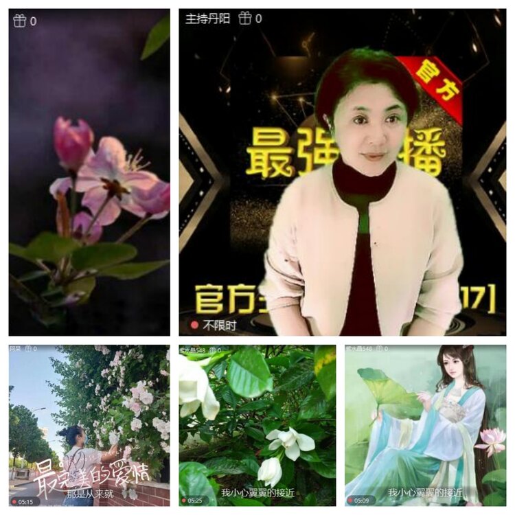 浓茶🎤V娱热点