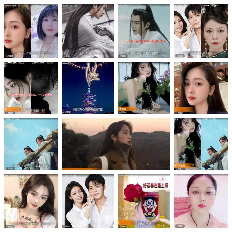 海燕🎤V娱热点