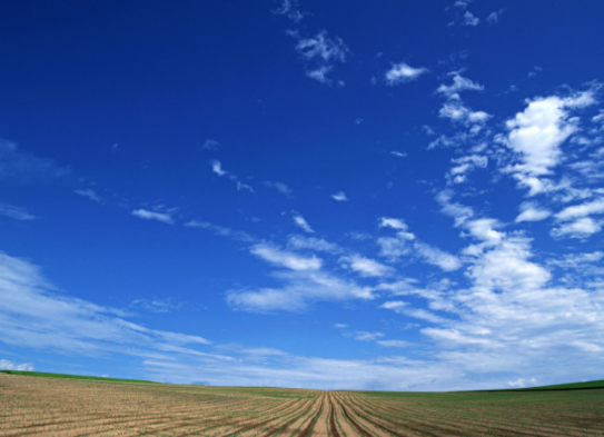 海燕🎤V娱热点