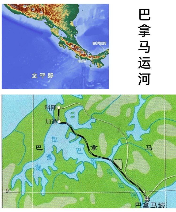 大槐树
