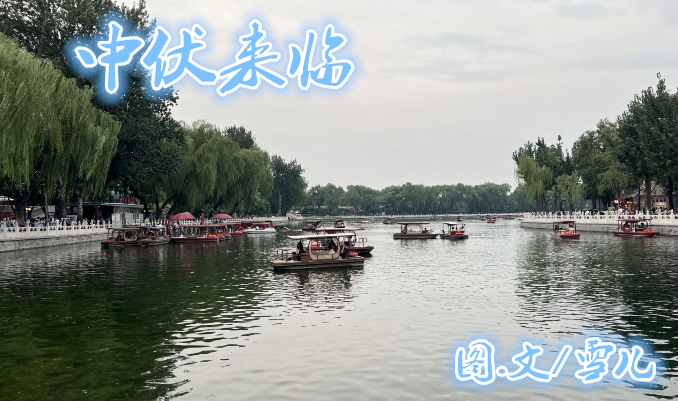 雪儿🎤V娱热点