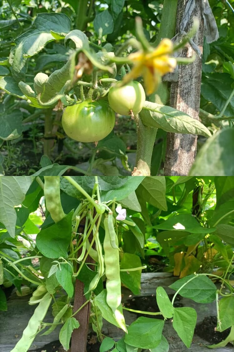 海燕🎤V娱热点