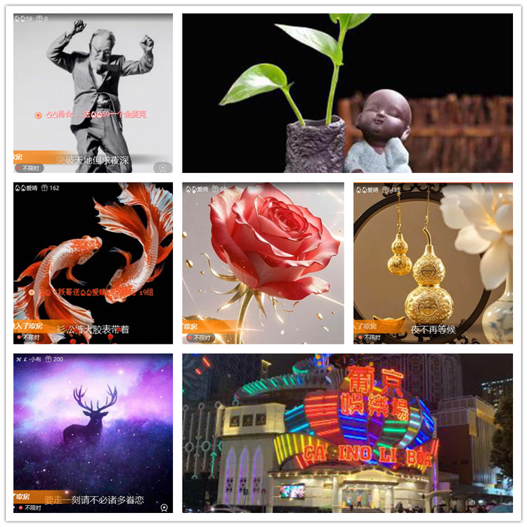 雪儿🎤V娱热点