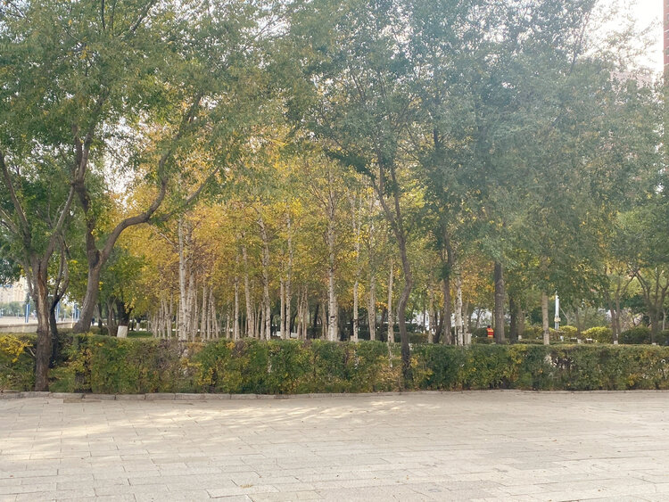 雪儿🎤V娱热点