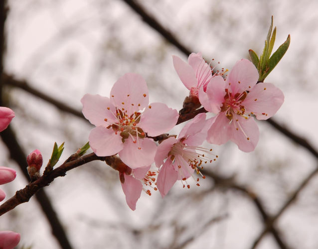 曾经🎤V娱热点