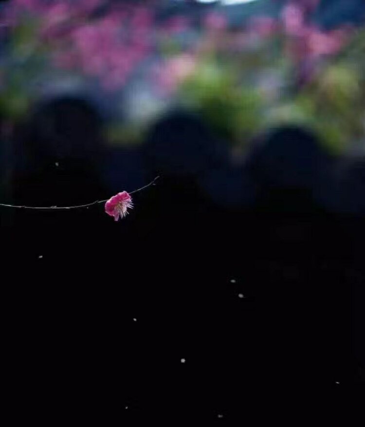 曾经🎤V娱热点