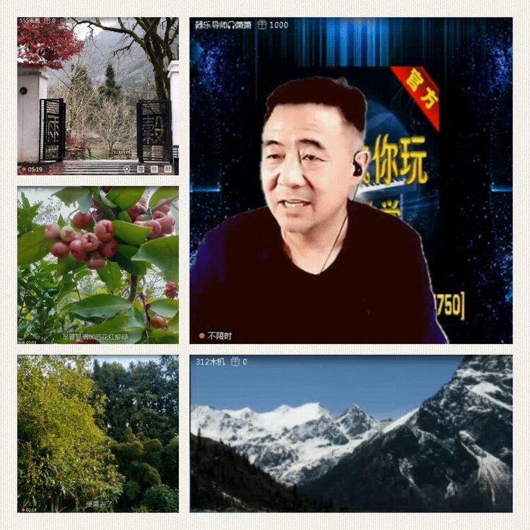 落雪🎤V娱热点