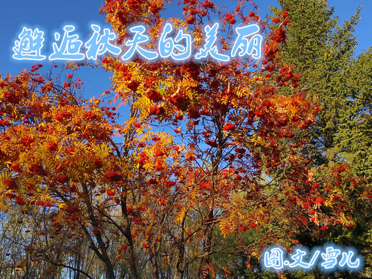 雪儿🎤V娱热点