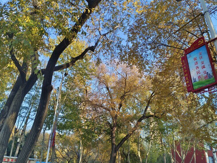 雪儿🎤V娱热点