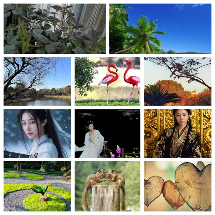 苏苏🎤V娱热点