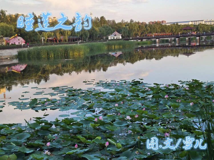 雪儿🎤V娱热点