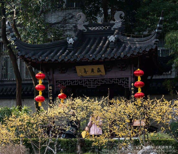 言午（美摄视界）