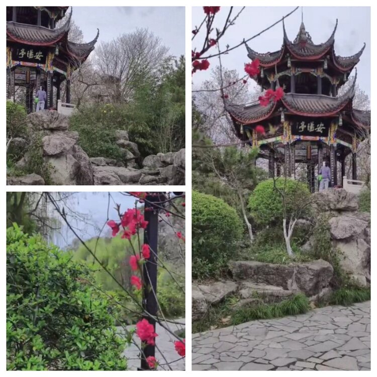 梅香🎤V娱热点