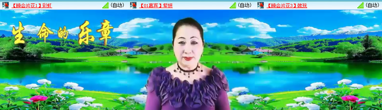无言🎤V娱热点