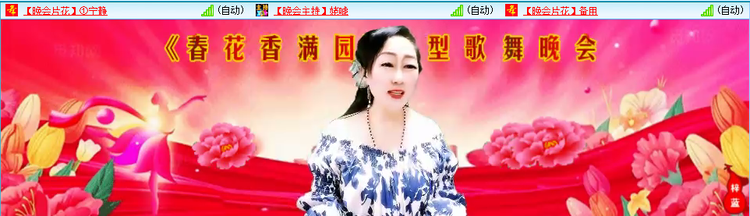 无言🎤V娱热点