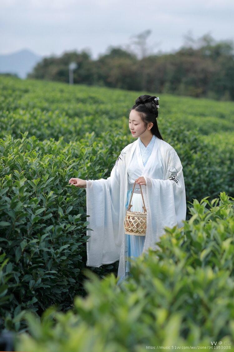 漂亮的采茶女孩图片图片