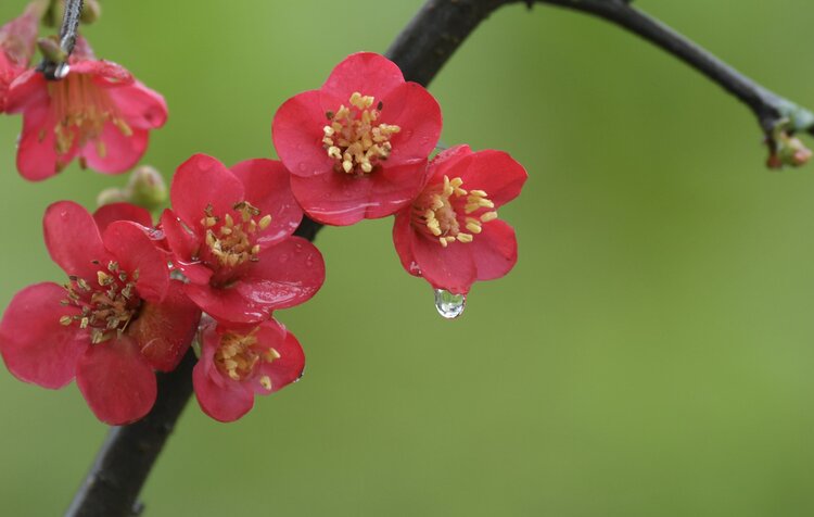 栉风沐雨