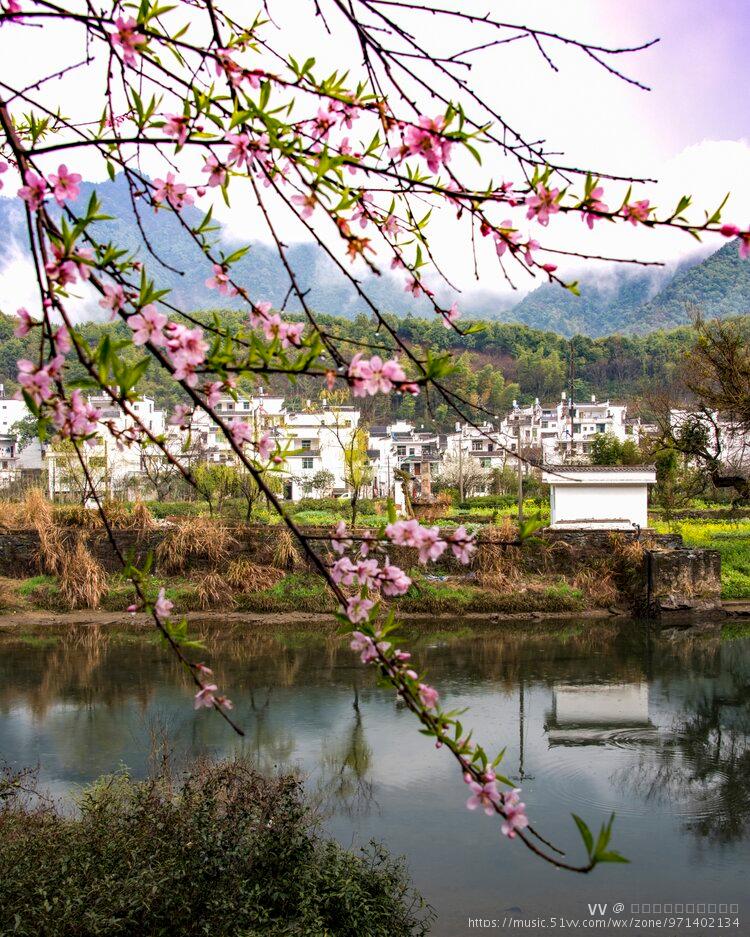 桃红柳绿自然风景图片